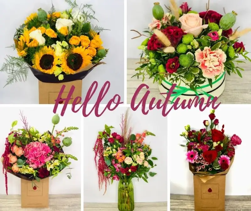 Autumn Flower Collection Out Now